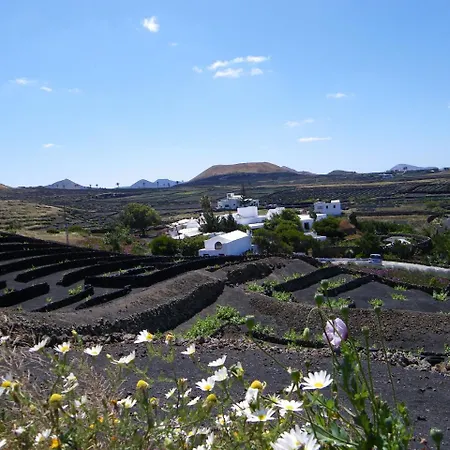 Tisalaya * Tinajo